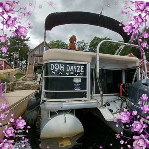 Meet your Posher, Elaine